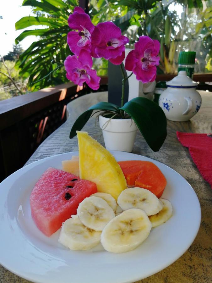 La Guayaba Monteverde住宿加早餐旅馆 外观 照片