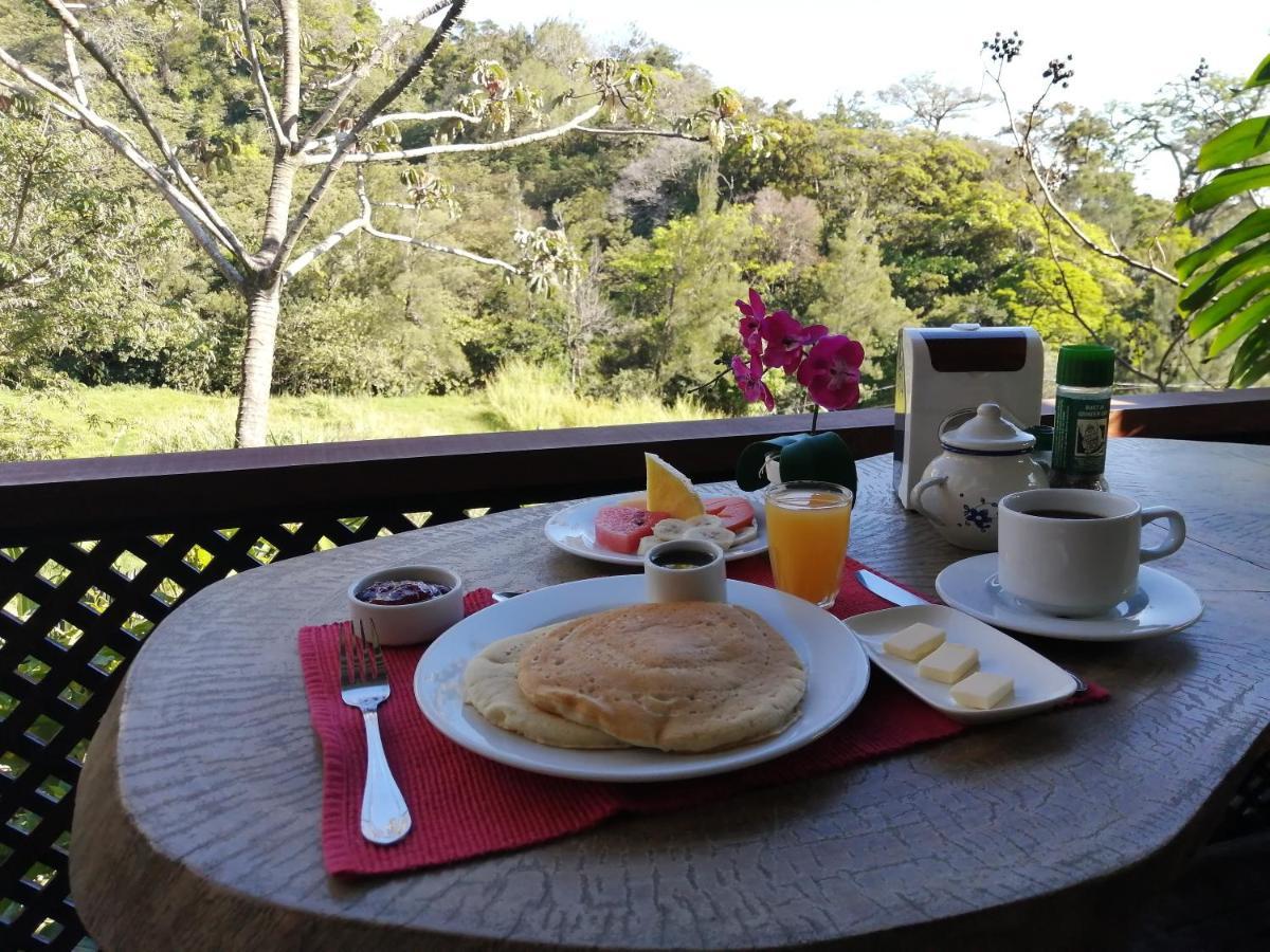 La Guayaba Monteverde住宿加早餐旅馆 外观 照片